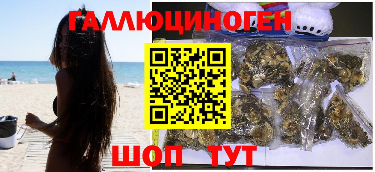 Электросталь  Псилоцибиновые грибы MAGIC MUSHROOMS  купить  цена  Вход с VPN  Псилоцибиновые грибы прущие грибы 