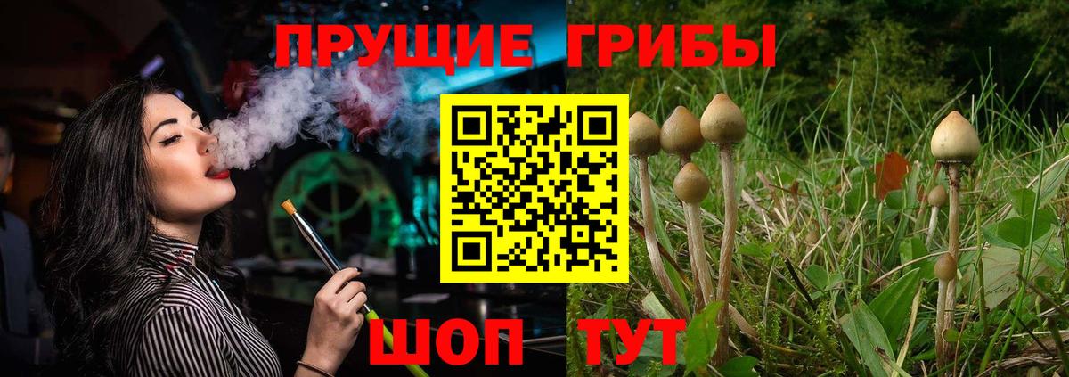 Галлюциногенные грибы мухоморы Электросталь